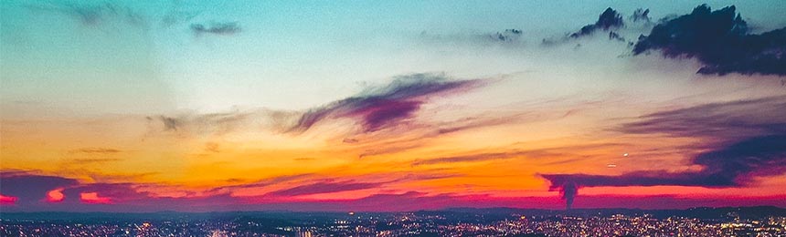 台山茶虫网_台山品茶